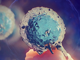 固形腫瘍研究におけるCAR T細胞療法の挑戦