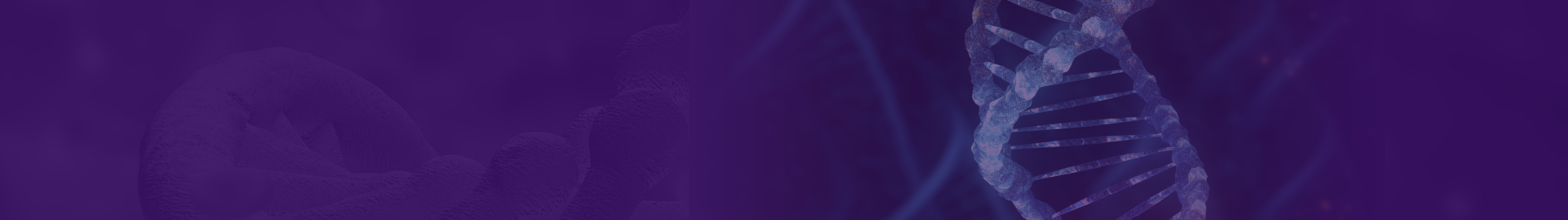 Our Partners