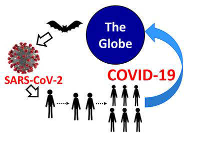 新型コロナウイルスがコウモリから人類に