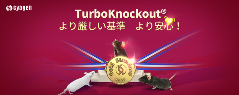 TurboKnockout