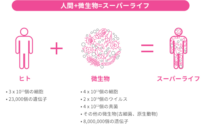 人体と微生物の関係