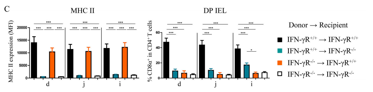 Figure 2C. Complete IFN-γR signals are indispensable for differentiation of DP IELs