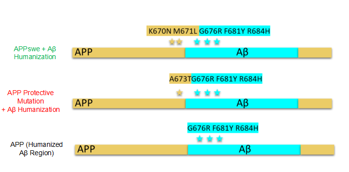 図2.　三種類のAPP遺伝子改変ラット