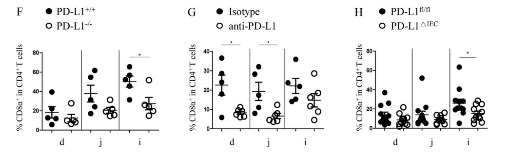 Figure 3F-H. (F) Compared with PD-L1+/+mice, the proportion of DP IELS decreased significantly in the ileum of PD-L1−/−mice; (G) After RAG-1−/− mice were injected with splenic CD4+ T cells, and DP IELs development were inhibited by anti–PD-1 treatment; (H) Compared with PD-L1fl/fl mice, the proportion of DP IELS decreased significantly in the ileum of PD-L1△IEC mice.