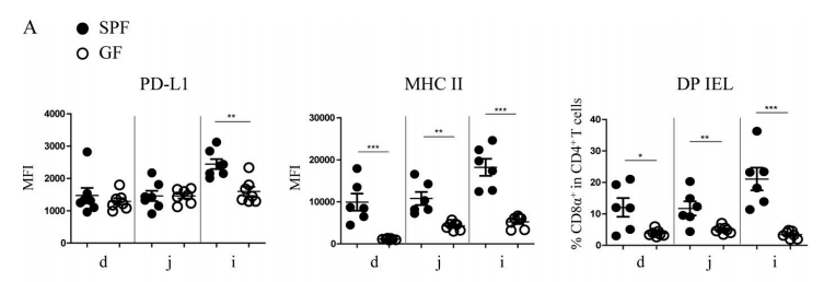 Figure 4A. Compared with SPF mice, the expression level of PD-L1 on IECs of GF mice decreased significantly in ileum, while the expression quantity of MHC II and the proportion of DP IELs decreased significantly in various areas of small intestine, especially in ileum.