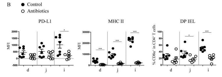 Figure 4B. After antibiotic treatment, the expression level of PD-L1 on IECs of SPF mice decreased significantly in ileum, and the expression quantity of MHC II and the proportion of DP IELs decreased significantly in various areas of small intestine, especially in ileum.