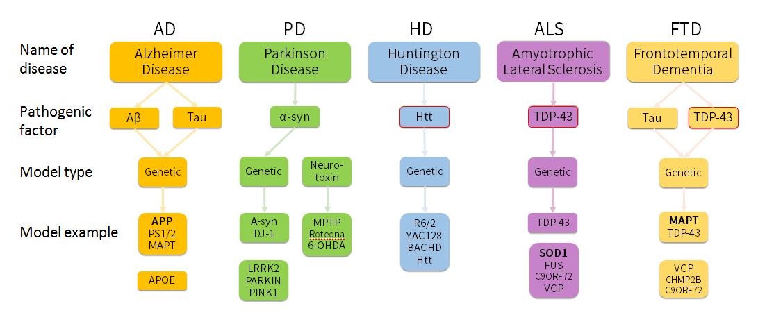 図4.一般的神経変性疾患の主な病原性遺伝子及びそのモデル