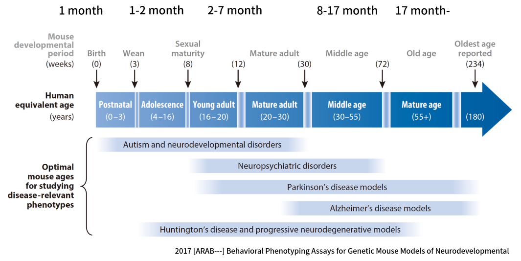 図6.神経変性疾患におけるマウスとヒトの年齢関係