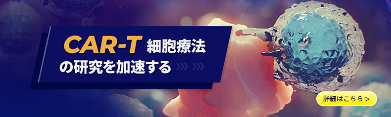 CAR-T細胞療法の研究を加速する