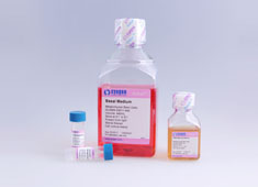 None Mesenchymal Stem Cell Growth Medium GUXMX-90011