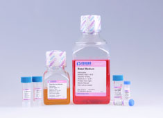 None Astrocyte Growth Medium GXXAC-90011