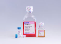 None Mouse Mesenchymal Stem Cell Growth Medium MUXMX-90011