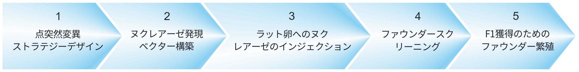 点突然変異ラットサービスの流れ  