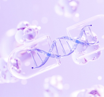 精密がん治療を前進させる：前臨床薬剤評価を変革する免疫ヒト化マウス