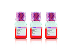 None Human Mesenchymal Stem Cell Hepatogenic Differentiation Medium HUXMX-90101