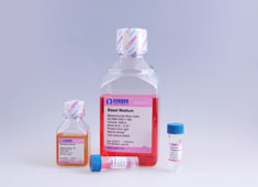 None Rabbit Mesenchymal Stem Cell Growth Medium RBXMX-90011