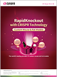 RapidKnockout