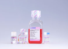 None Mesenchymal Stem Cell Osteogenic Differentiation Medium GUXMX-90021