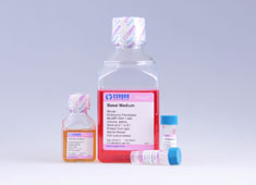 None Strain ICR Mouse Embryonic Fibroblast Growth Medium MUXEF-90011