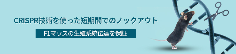 CRISPR/Cas9 ノックアウトマウス