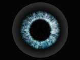 網膜色素変性症：遺伝性眼疾患