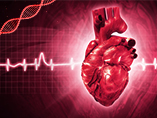 心血管疾患の予防と治療における新たな洞察