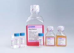 None Human Embryonic Stem Cell Growth Medium HUXES-90011