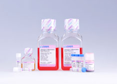 None Mesenchymal Stem Cell Adipogenic Differentiation Medium GUXMX-90031
