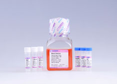 None Neural Stem Cell Growth Medium GUXNX-90011