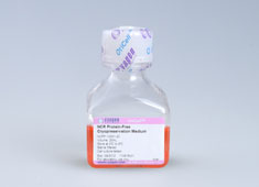 None Neural Stem Cells NCR Protein-Free Cryopreservation Medium GUXNX-07021