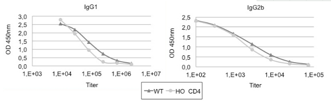 Figure4. Similar Ig production. Homozygous CD4 humanized mice display similar anti-KLH isotyping to wild-type mice