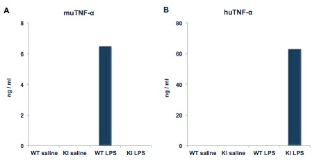 Figure1. Mean plasmatic concentrations of murine TNF-α and human TNF-α following LPS injection