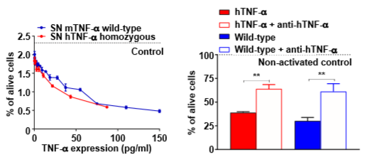 Figure3. Humanized TNF-α mouse hTNF-α anti-proliferative activity