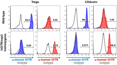 Figure1. hGITR expression pattern in hGITR/Foxp3 mice recapitulates mGITR expression in wild-type mice