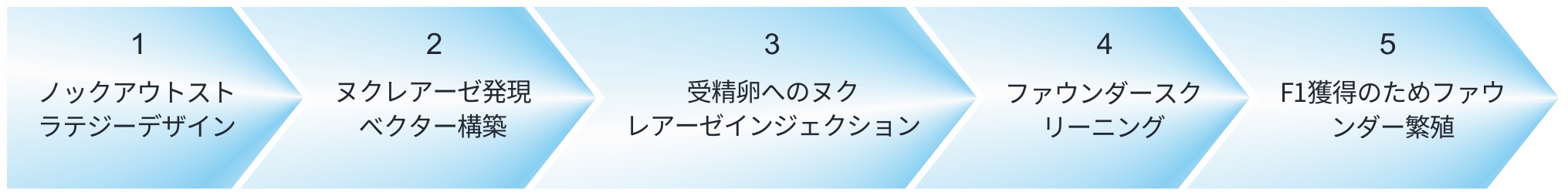 ノックアウトラットサービスの流れ