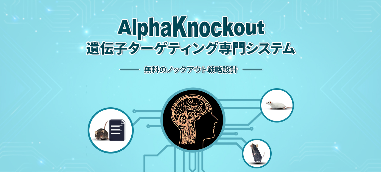 AlphaKnockout遺伝子ターゲティング専門システム