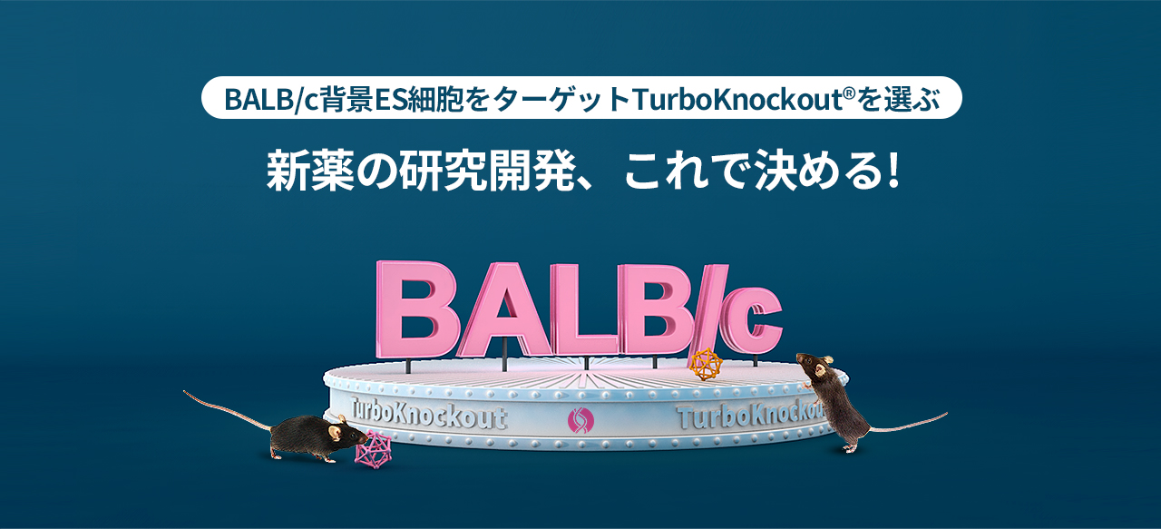 BALB/c背景ES細胞をターゲットTurboKnockout®を選ぶ 新薬の研究開発、これで決める!